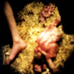 Surgical Transfusion of Molting Sensory Reflection